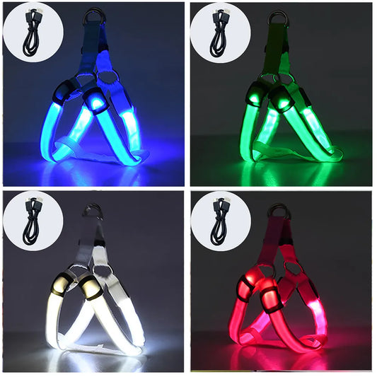 Luminous LED Dog Harness, Charging, Multiple Colors