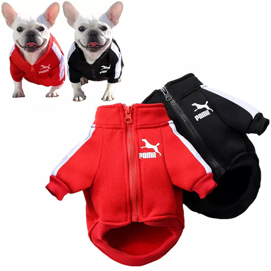 Baseball Dog Jacket for Small/Medium Dogs